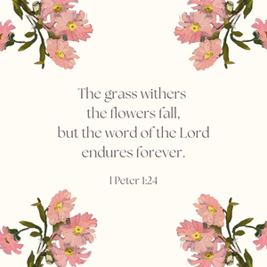 Scripture Cards for Encouragement