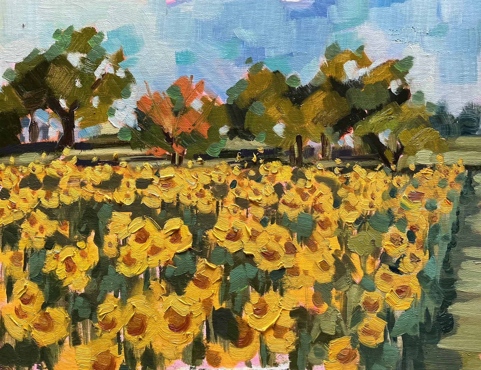 Sunflowers in Yellow Springs