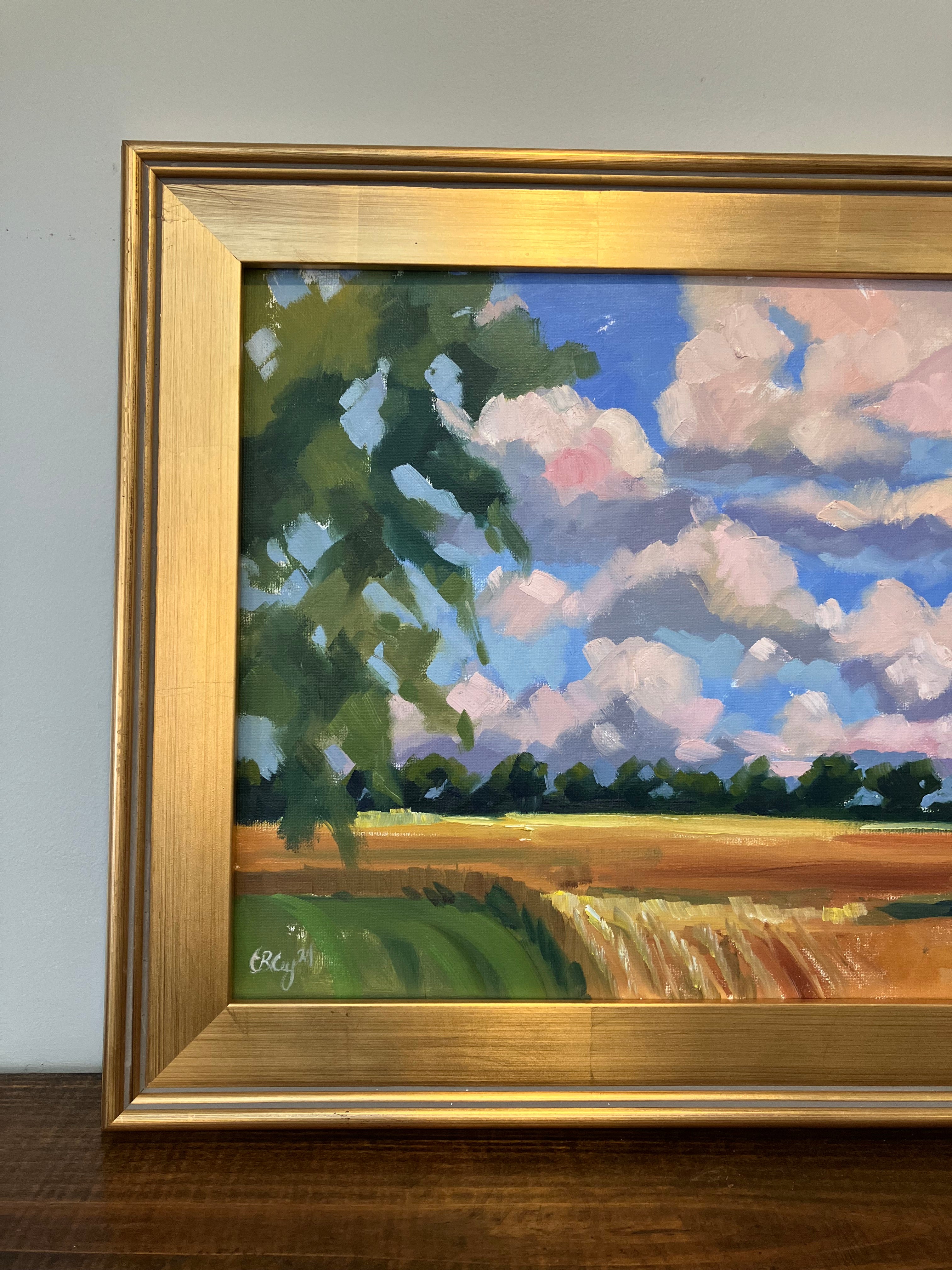 Wheat Fields After Harvest