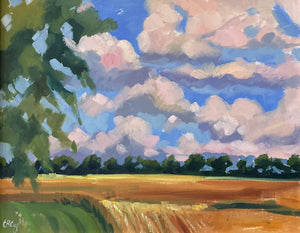 Wheat Fields After Harvest